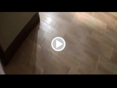 Adult teen videos